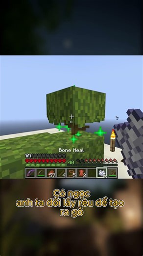 Thử thách bá đạo p2 Cre: Mud flaps #minecraft