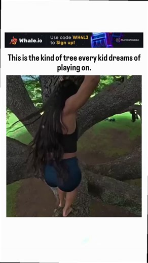inavinate01 on Instagram: "The post showcases a 23-second video of a barefoot woman dynamically running and balancing across the thick, horizontal branches of a sprawling tropical tree in Hawaii, credited to parkour enthusiast @tlynncarpenter on Instagram, evoking carefree childhood exploration. With 429 likes and 21 replies mostly sharing nostalgic memories of tree play, the clip highlights how such activities foster spatial awareness and confidence, supported by a 2018 mixed-methods study find