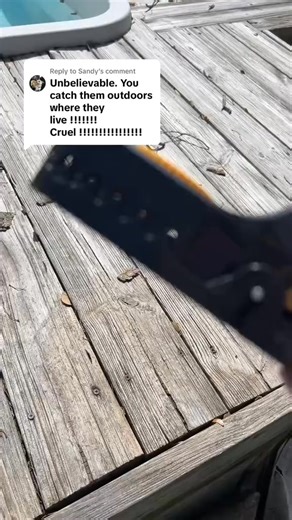 These Clip-on Mouse Traps are too much of a pest-control lifesaver! Homeowners and warehouse managers will love these as rodent-capturing essentials! 🐭 Trap, Place, Deter Together! – Clip-on Mouse Traps for Mice and Rats ✨ Want to stop rodents from scurrying around and keep traps from being dragged away? These traps with handy clips add easy positioning to your pest control—letting you set traps on floors, corners, or along walls, capture mice and rats instantly, and keep your space rodent-free