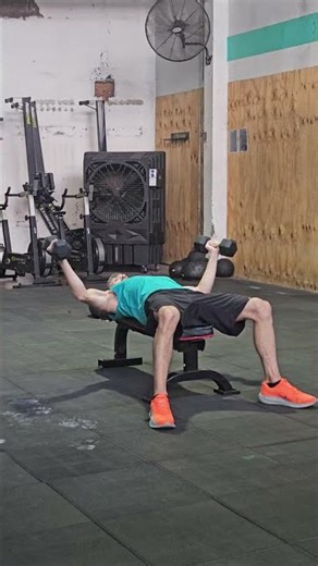 Dual Db Bench Flye