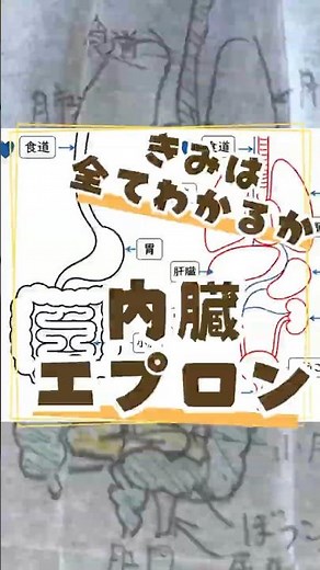 No more worries about where to put your internal organs! The magical internal organ apron!