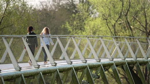 There’s no campus quite like ours 💫 The friendships. The favourite spots. The feeling you get that's uniquely UL. Voted Best Student campus again in 2025. Take our virtual tour to find out why. | University of Limerick