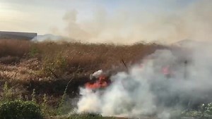 Solano County Sheriff's Office on Reels