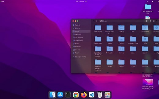 油管上最好的Ubuntu定制Mac主题UI教程！[整活搬运-我搬运我自己]