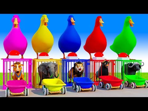 Long Slide Game With Cow Elephant Gorilla Hippopotamus Tiger - 3d Animal Game - Funny 3d Animals