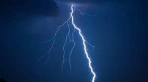 DIY eco-friendly fertilizer - Advanced Science News