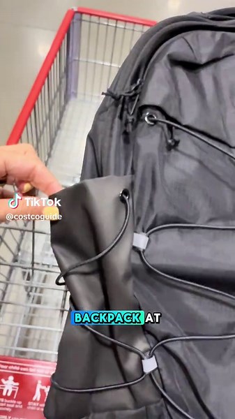 The North Face Backpack Must-Have at Costco