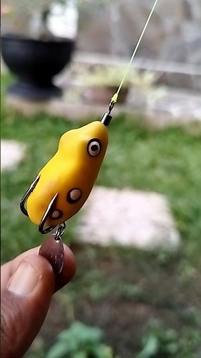 How to Tie Soft Frog Bait - Fishing Knot Tutorial #fishing #fishingknot #tutorial