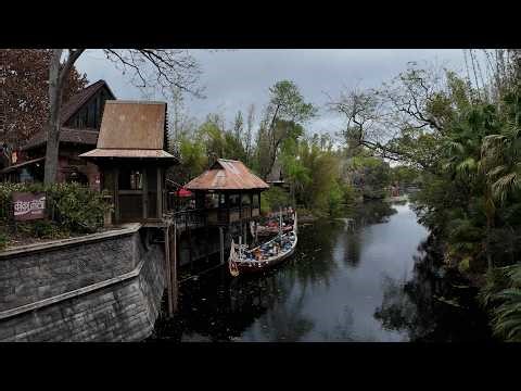 Pandora: The World of Avatar to Expedition Everest | Audio Only | Animal Kingdom | 03/12/26