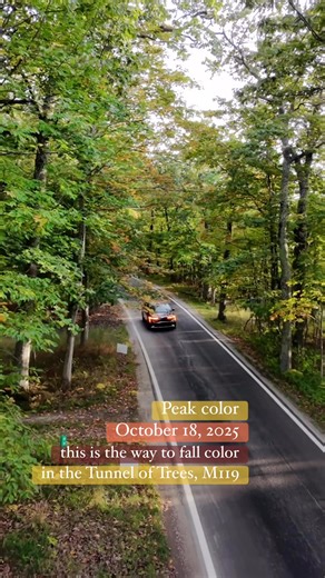 PEAK COLOR UPDATE: October 18, 2025. Because of the warm weather the peak color could be pushed off by a week or more. We will keep an eye on the colors and give another update soon! #tunneloftrees #m119 #harborsprings #goodhart #crossvillage #fallvibes #puremichigan #northernmichigan | Tunnel of Trees, M119