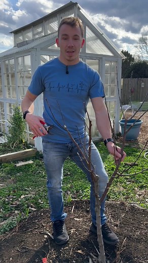 Earth, Nails & Tails on TikTok