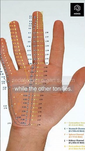 Types of Acupuncture (TCM)