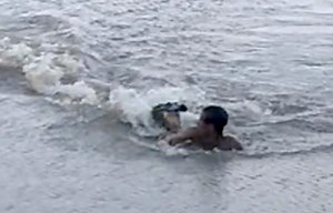 Terrifying Moment Lightning-Fast Alligator Torpedo Attacks Swimmer Who BARELY Escapes