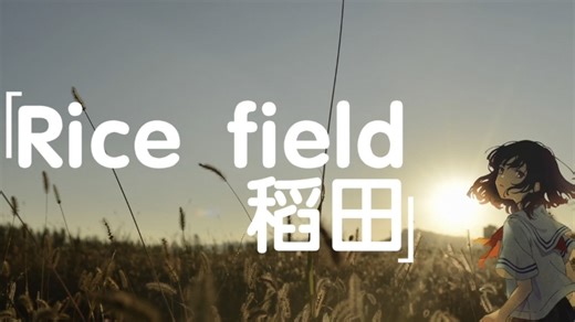 幻听波段#7丨一切善恶 皆由心生丨Corn Wave--Rice field