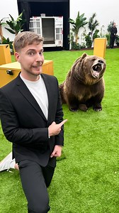 🐻 | MrBeast