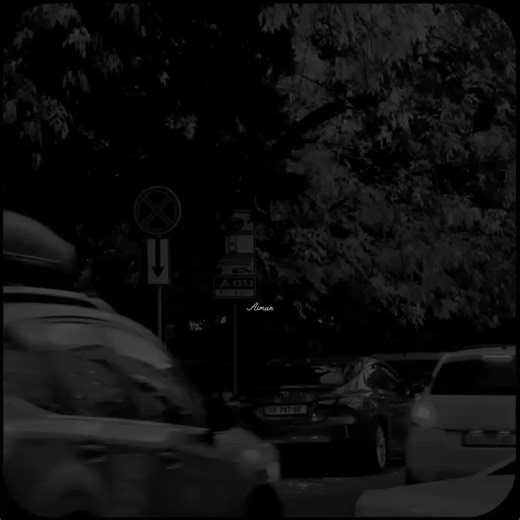 Mery Dil Vich Wasda Ay - An Emotional Journey