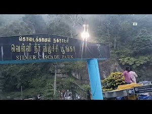 Gaur: The Giant of Indian Forests 🦬 | Wildlife