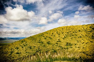 14 Miles For The WildCloudFlowers