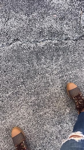 The Pet Funeral Director🐈🐶🐱 (@thepetfuneraldirector)’s videos with Therapy - Ann Marie