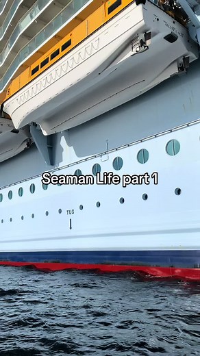 A Day in the Life of a Seaman: Morning to Afternoon Routine