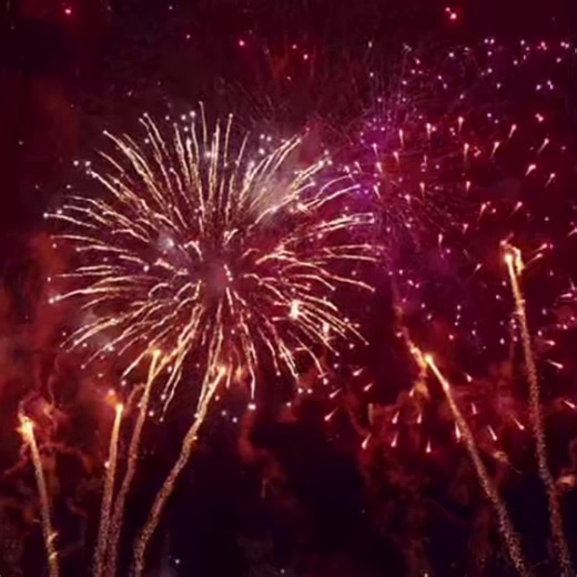 Had this in my drafts for sooo long…..idk when I made this….#fireworks #idk #mitski #fireworkshow #moodboard