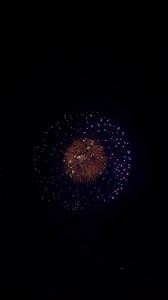 Massive Pro Shell Demo #314pyrobros #fireworks #pyro #viral #pyroaddicts