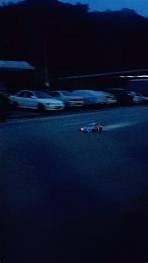 Initial D Night and Fogg 🌑☁️ #initiald #rccar