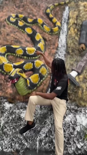 Python Like | Royalenscinema