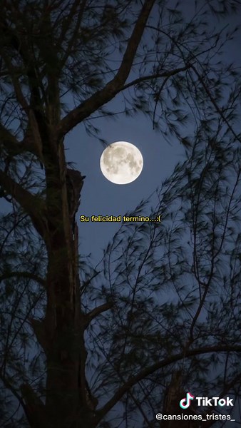 Canciones Tristes de Desamor para Compartir y Dedicar