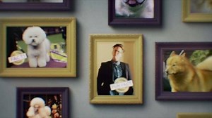 June is Non-Sporting Group Month! Comedian, Hannah Gadsby, is dishing out the facts on the Non-Sporting Group. | Westminster Kennel Club Dog Show