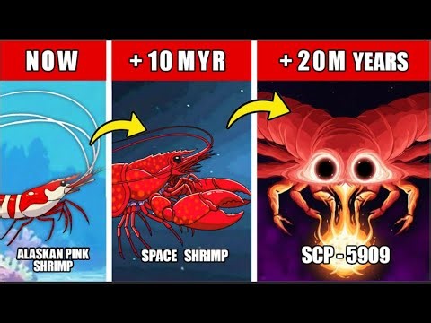 SCP-5909 Origin Evolution: How SCP-5909 ( The Endless Shrimp) Was Born?