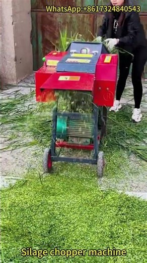 Silage Chopper in Action - Efficient Forage Processing