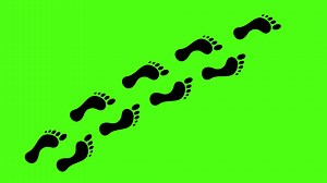 Download Human Foot Print Walk Animation On Green Screen. Footsteps Sign Footprint. 4K Resolution for free