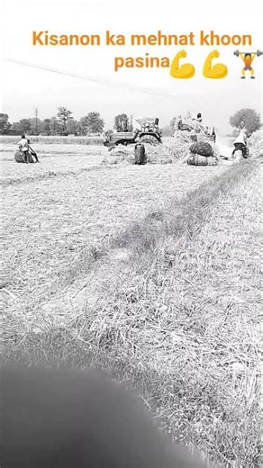kisanon ka mehnat #beats #edit Kisan #love r♥️🙏🚜🚜