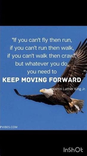 Keep Moving Forward | The Most Powerful Motivation You'll Hear Today 🦅