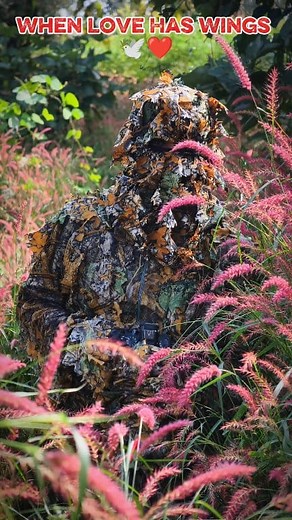 2.8M views · 83K reactions | #wildlifephotographer #wildlifehero #wildlifeninja #camouflage #naturephotography #passionovercomfort #behindthelens #wildlifeperfection #birdphotography #fieldwork #dedicatedsouls #naturelovers #patienceiskey #realwildlife #indiaphotography #vlogstyle #shorthero #wildlifepassion #canonphotography #TamilnaduWildlife | SK.Photography 2.O | Facebook