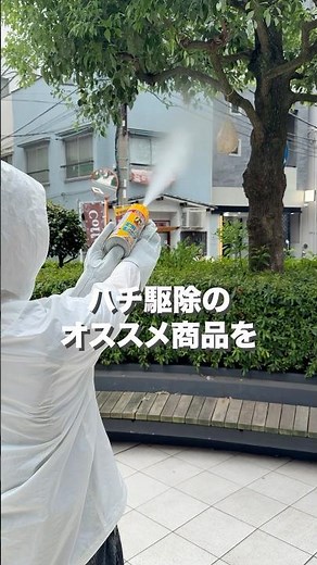 アース製薬が教える #ハチ対策 #ハチ #ハチの巣