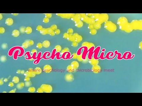 Bacterial Classification - Medical Microbiology - USMLE Series