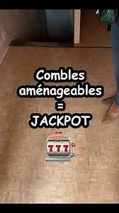 Virtual tour with a real estate agent (discreet camera...)