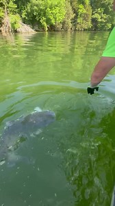 2.3M views · 10K reactions | Will you be hitting the water this weekend!??? #ctfnation #fishinvideos #catchthefever #fishinin #catfish #fishinvlog | Catch The Fever | Facebook