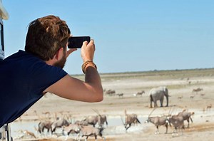 Kenyan poachers make a killing in ivory