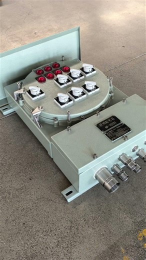 Explosion-proof distribution box with flameproof enclosure. Shengyi Explosion-proof