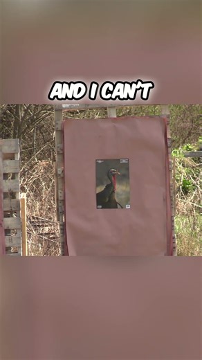 28 gauge BCO blend crushing turkey patterns #hunting #shotgun