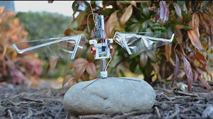 How studying insects may lead to smarter drones