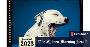 What’s yawning for – and is it really contagious?