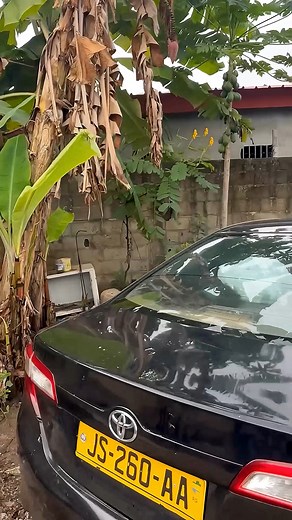 jack cheating with nazugee 02 | Jack fans