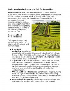 Soil Contamination Environmental Science Worksheet for SubPlan & Homework