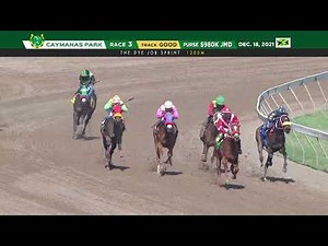 Caymanas Highlights - December 20, 2021 | SportsMax TV