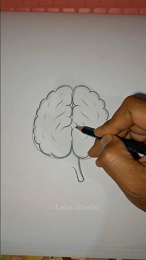 Human Brain system Diagram Drawing easy step