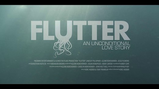 Flutter Trailer